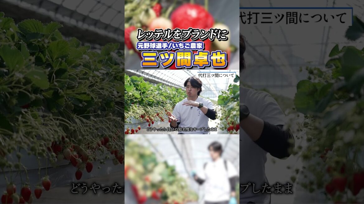 「代打・三ツ間」現役時は嫌だった“あの騒動”をブランドに変えた男⚾️🍓 「代打・三ツ間」現役時は嫌だった“あの騒動”をブランドに変えた男⚾️🍓