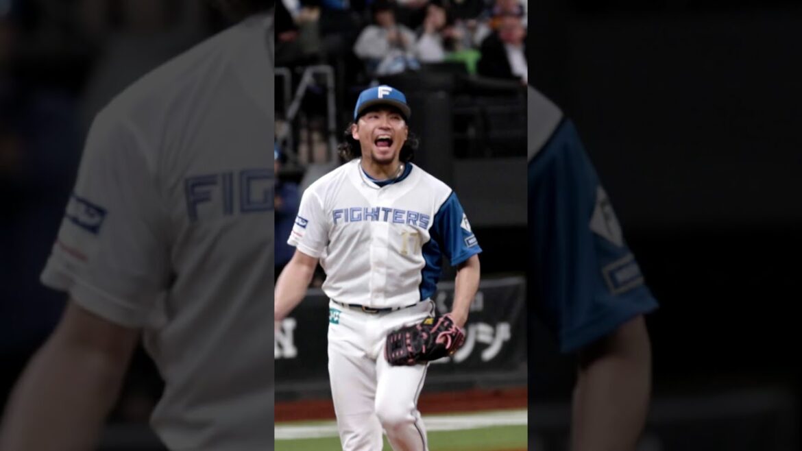 Hokkaido-Nippon-Ham-Fighters: 伊藤大海投手!リーグトップタイの5勝目!#ドミれ #lovefighters 伊藤大海投手!リーグトップタイの5勝目!#ドミれ #lovefighters