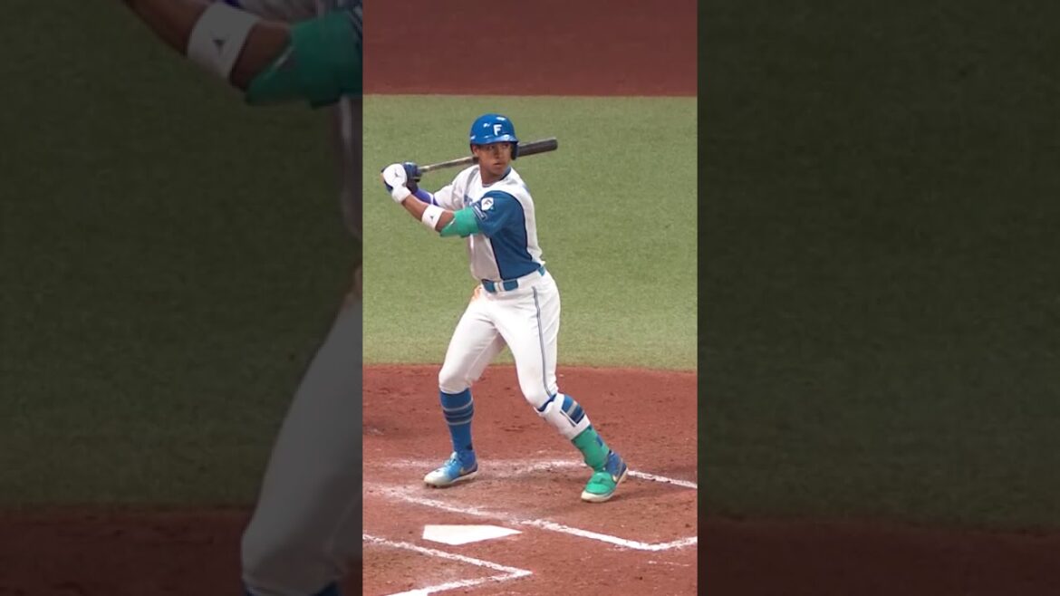 Hokkaido-Nippon-Ham-Fighters: 『どこまでも伸びていく…』万波中正の爆強肩&驚愕弾 #ドミれ #lovefighters 『どこまでも伸びていく…』万波中正の爆強肩&驚愕弾 #ドミれ #lovefighters
