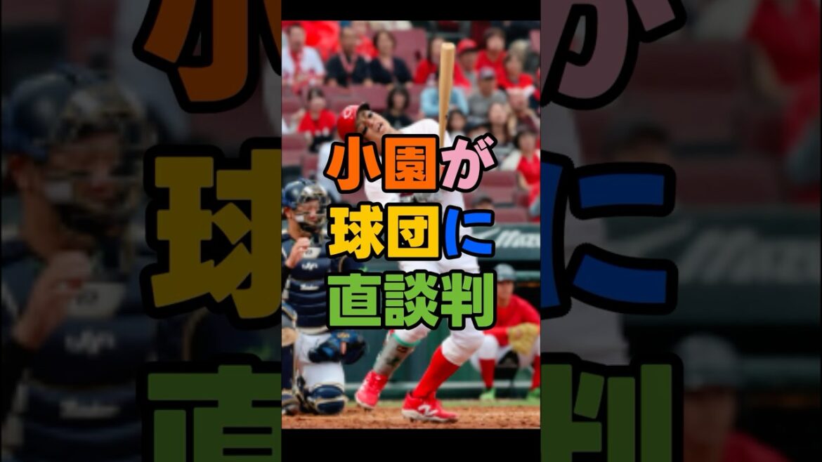 小園、メジャーはまだ無理？越年交渉の真相、実は…小園の“MLB発言”に賛否。夢はMLB…でも現実は？＃広島東洋カープ　＃広島カープ　＃カープ　#プロ野球