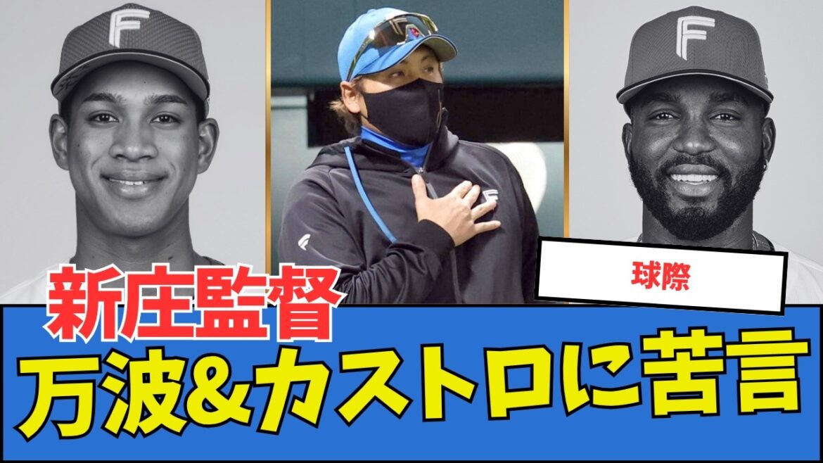 【球際】新庄監督、万波&カストロに苦言 【球際】新庄監督、万波&カストロに苦言
