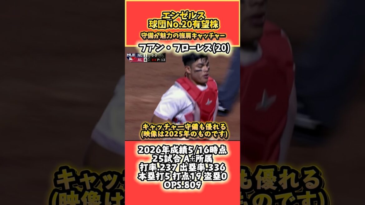 エンゼルス球団No.20有望株キャッチャー フアン・フローレス #エンゼルス #mlb #milb #メジャーリーグ #有望株 #野球 #解説