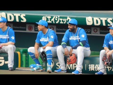 【みんなで敵情視察】阪神のシートノックを見つめるファイターズナイン 【みんなで敵情視察】阪神のシートノックを見つめるファイターズナイン