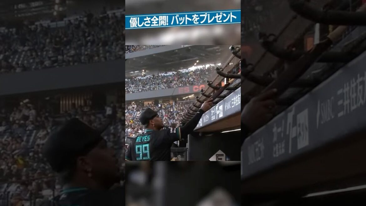 レイエス選手、「優しさ」でもドミる👍 #ドミれ #lovefighters