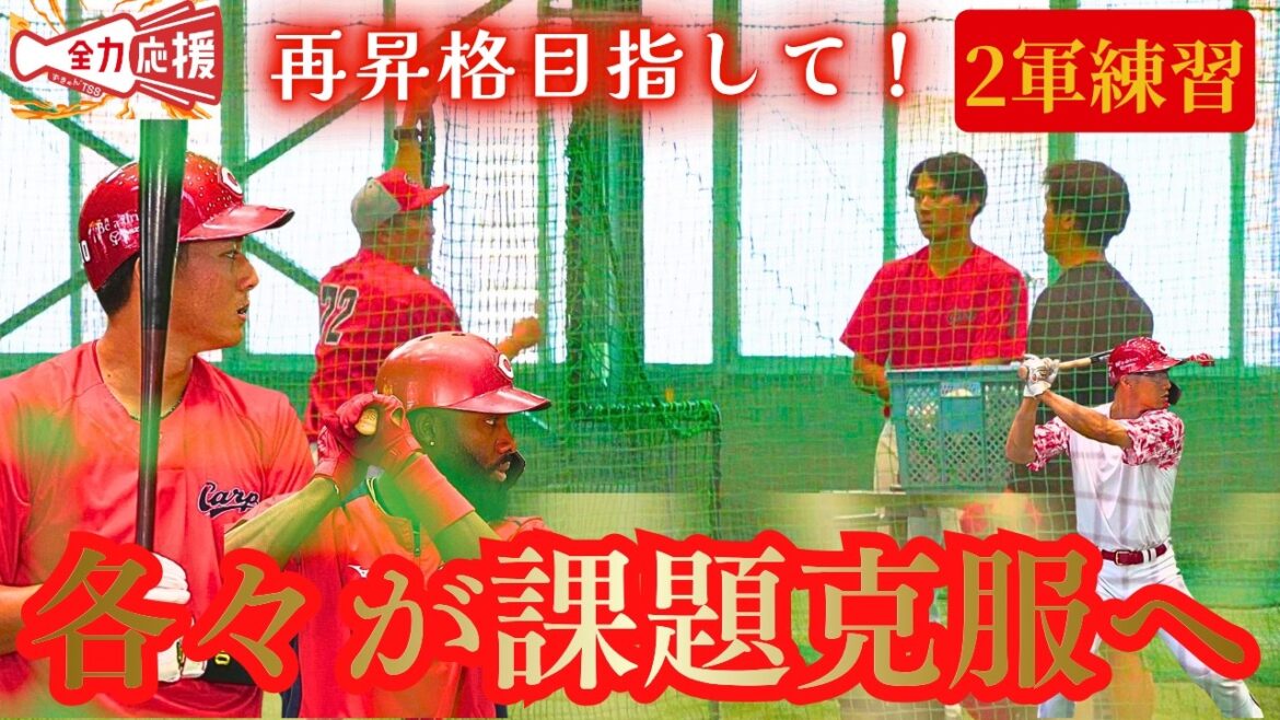 【2軍練習】今季打撃に苦しむファビアン・佐々木泰がバット振り込みで再昇格目指す🔥他選手も1軍めざし汗を流す!【球団認定】カープ全力応援チャンネル 【2軍練習】今季打撃に苦しむファビアン・佐々木泰がバット振り込みで再昇格目指す🔥他選手も1軍めざし汗を流す!【球団認定】カープ全力応援チャンネル