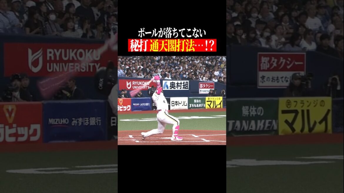 Pacific-League: 【ミステリー…】消えた🥎の行方 #shorts 【ミステリー…】消えた🥎の行方 #shorts