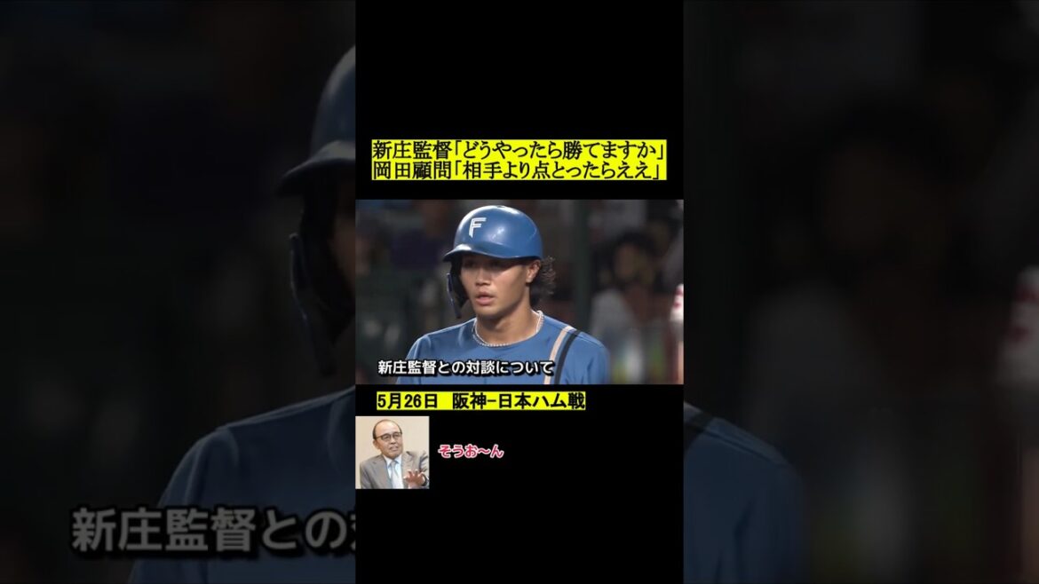 岡田顧問「相手より多く点とればええんよ」 #阪神タイガース #プロ野球 #野球 #岡田彰布