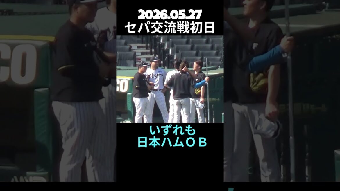 日本ハムOBの阪神打撃投手が元チームメイトにあいさつへ
