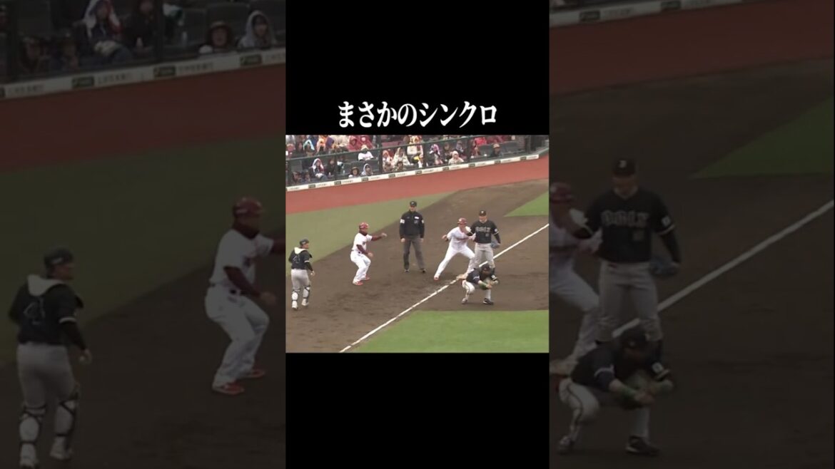 Pacific-League: 【絶妙で完璧…】パーフェクトシンクロ #shorts 【絶妙で完璧…】パーフェクトシンクロ #shorts