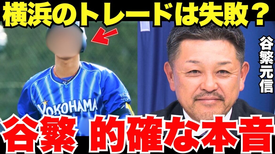 「正捕手のトレードで横浜は弱体化する?」谷繁元信が語っていた本音が的確すぎる! 「正捕手のトレードで横浜は弱体化する?」谷繁元信が語っていた本音が的確すぎる!