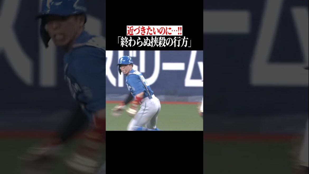 Pacific-League: 【挟みたいvs挟まれたくない】史上最長クラスの鬼挟殺 #shorts 【挟みたいvs挟まれたくない】史上最長クラスの鬼挟殺 #shorts