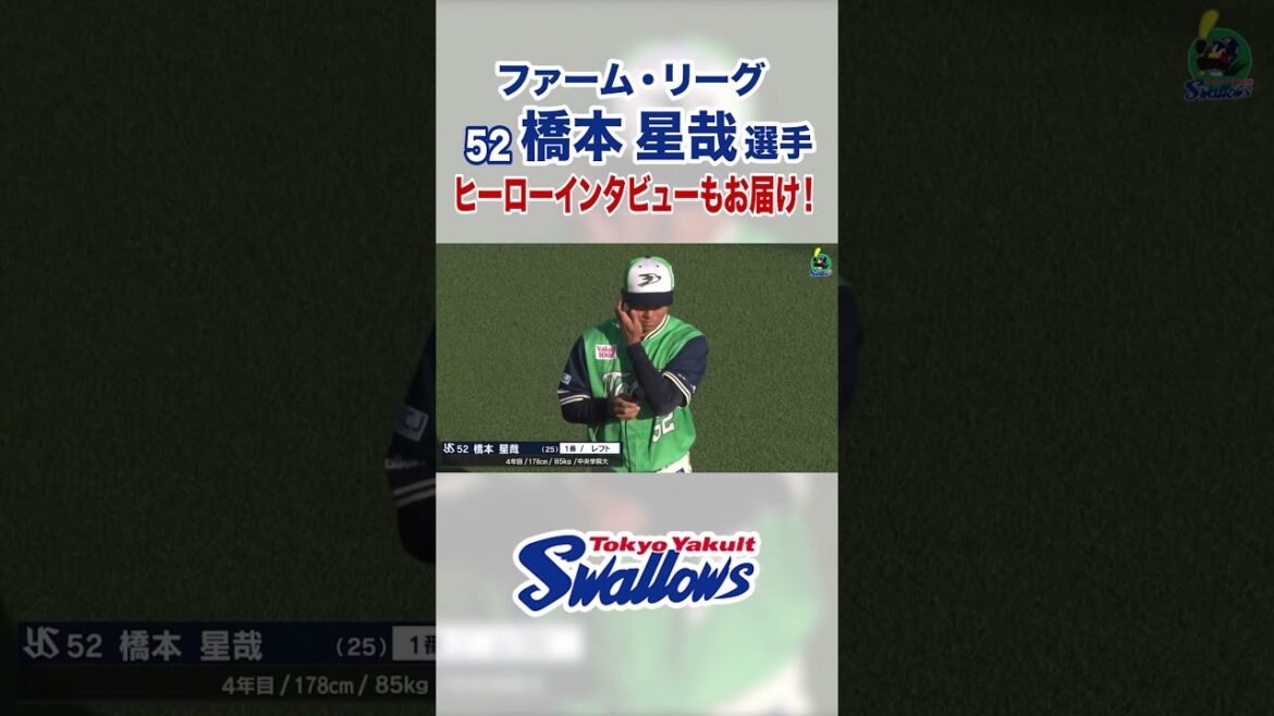 Tokyo-Yakult-Swallows: 橋本星哉選手 ヒーローインタビューもお届け!#swallows #shorts #橋本星哉 橋本星哉選手 ヒーローインタビューもお届け!#swallows #shorts #橋本星哉