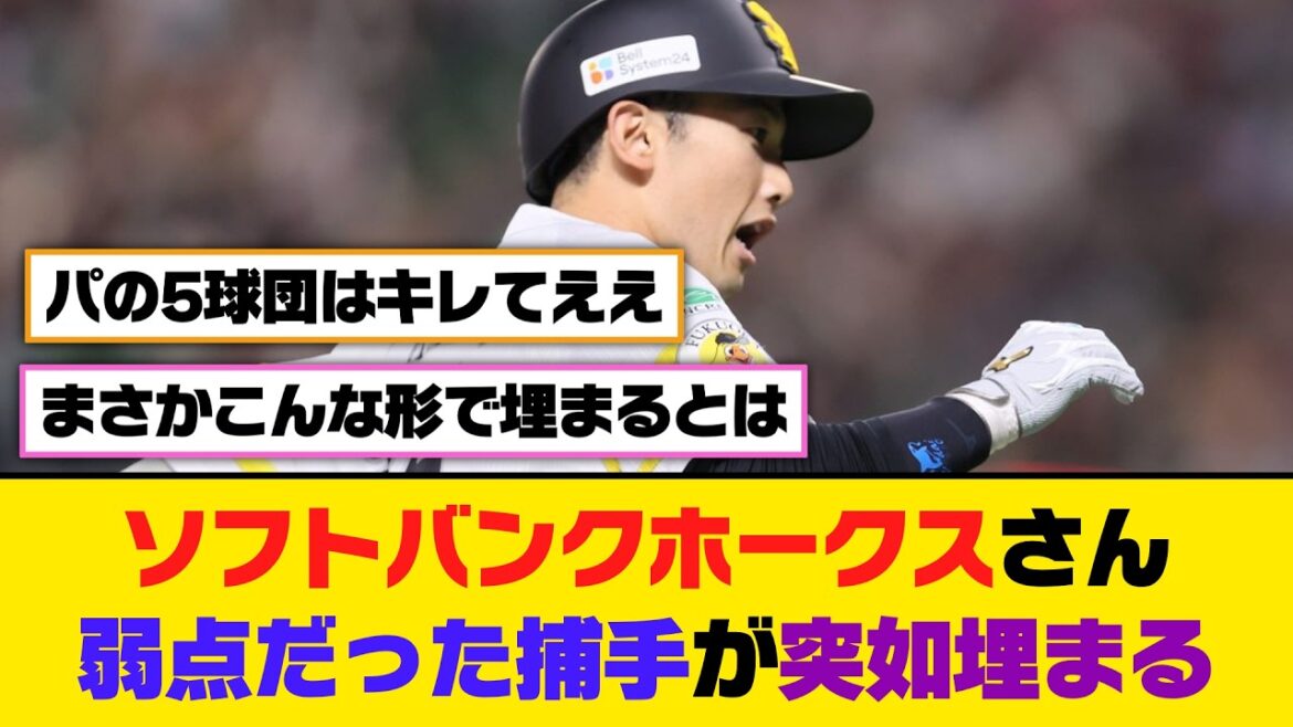 ソフトバンクホークスさん、弱点だった捕手が突如埋まる【5ch/2ch】【なんj/なんg】【反応集】