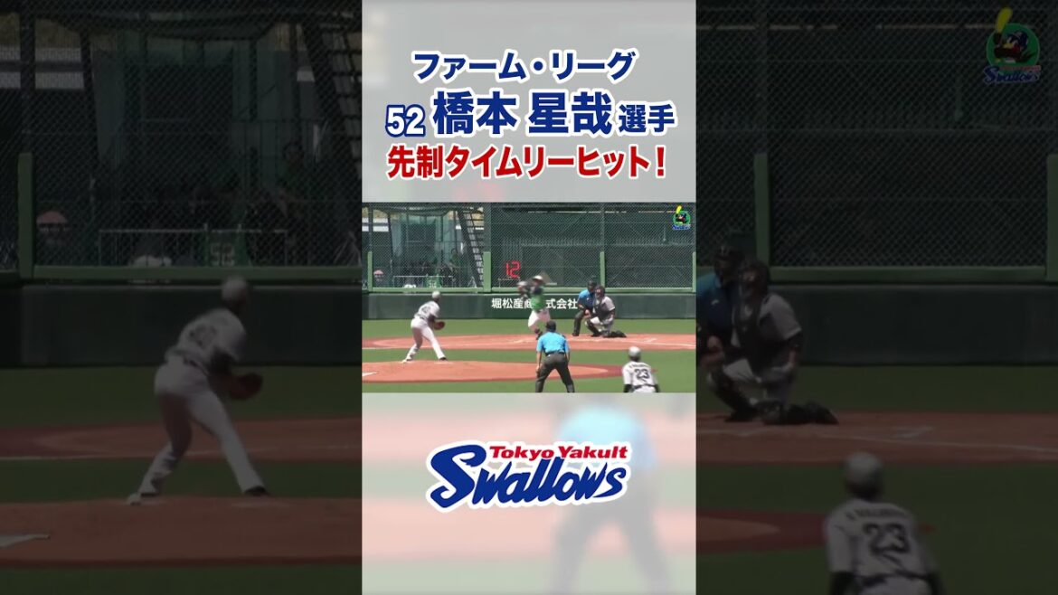 Tokyo-Yakult-Swallows: 橋本星哉選手 先制タイムリーヒット!#swallows #shorts #橋本星哉 橋本星哉選手 先制タイムリーヒット!#swallows #shorts #橋本星哉