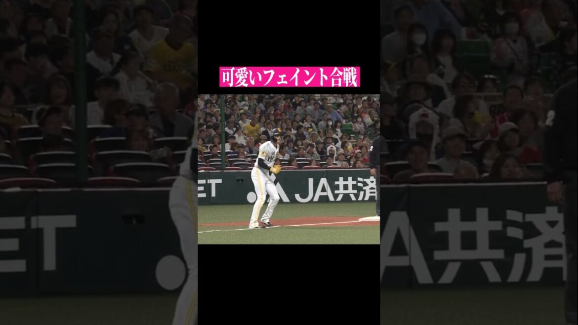Pacific-League: 【かわいいvsかわいい】かわいいの勝ち! #shorts 【かわいいvsかわいい】かわいいの勝ち! #shorts