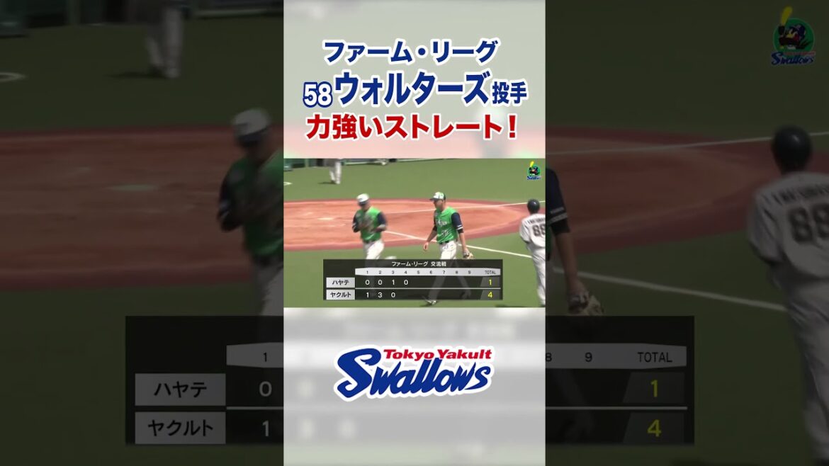 Tokyo-Yakult-Swallows: ウォルターズ投手 力強いストレート!#swallows #shorts #ウォルターズ ウォルターズ投手 力強いストレート!#swallows #shorts #ウォルターズ