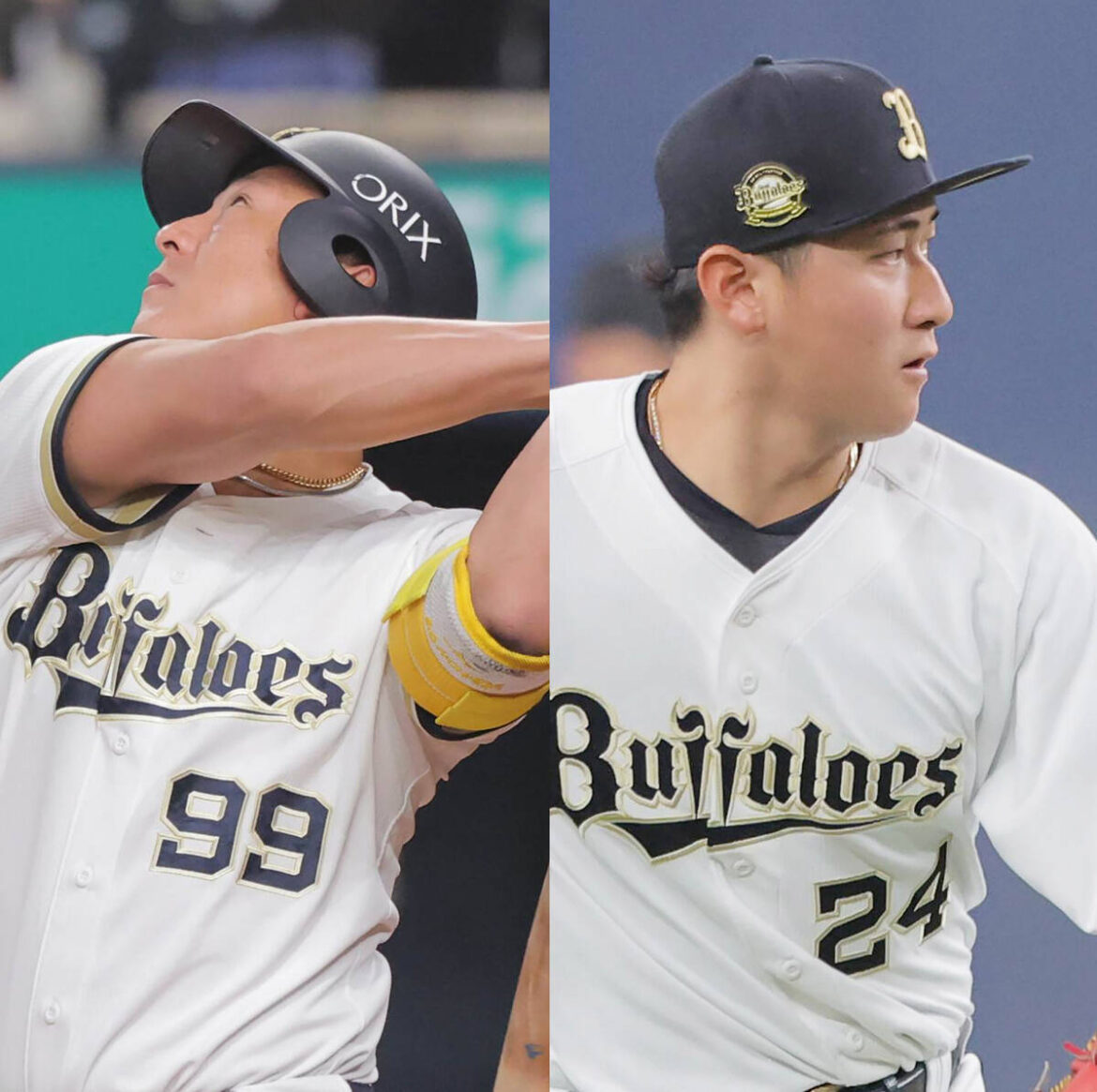 Orix Buffaloes