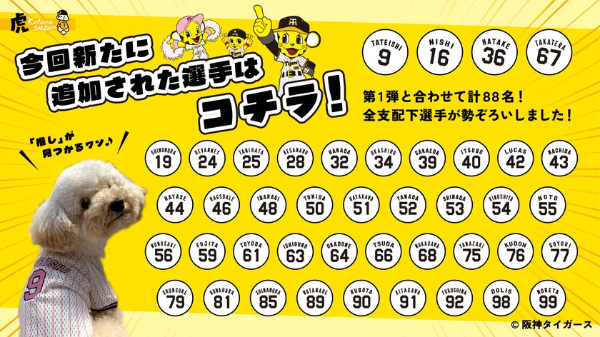 追加選手の一覧(ネーム&背番号)