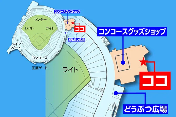 会場はマツダ スタジアム コンコースショップ(中通路)