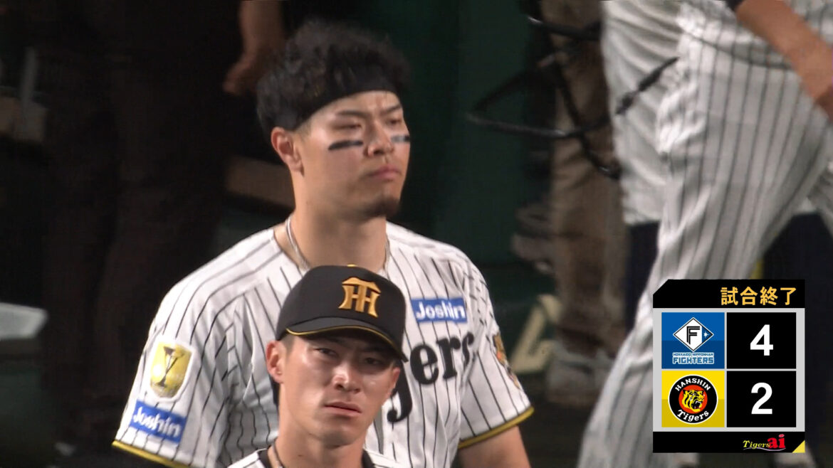【動画】阪神vs日本ハム 2026/05/28 ダイジェスト（タイガースファン向け） - スポーツナビ「虎テレチャンネル」